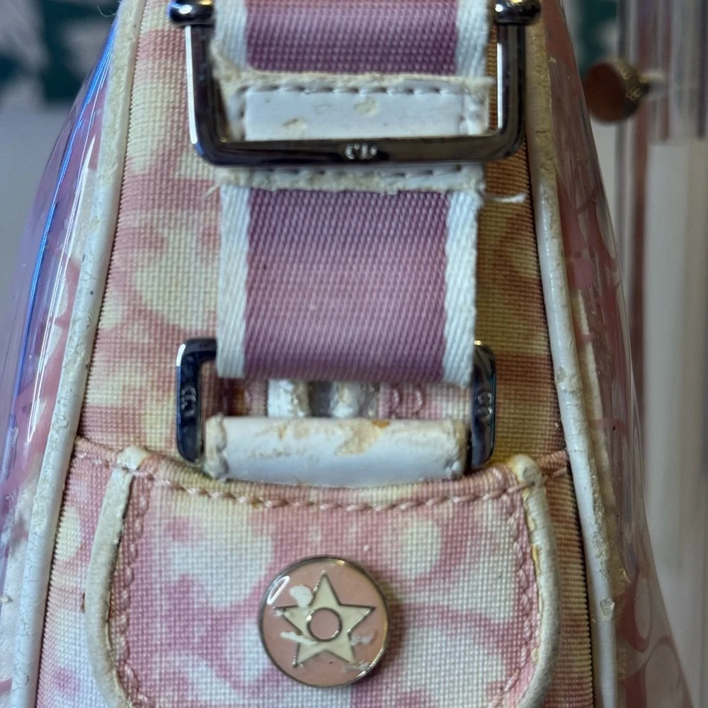 Dior Authentic Pink and Cream Trotter Transparent Crossbody bag w/pouch. RARE - Picture 3 of 16